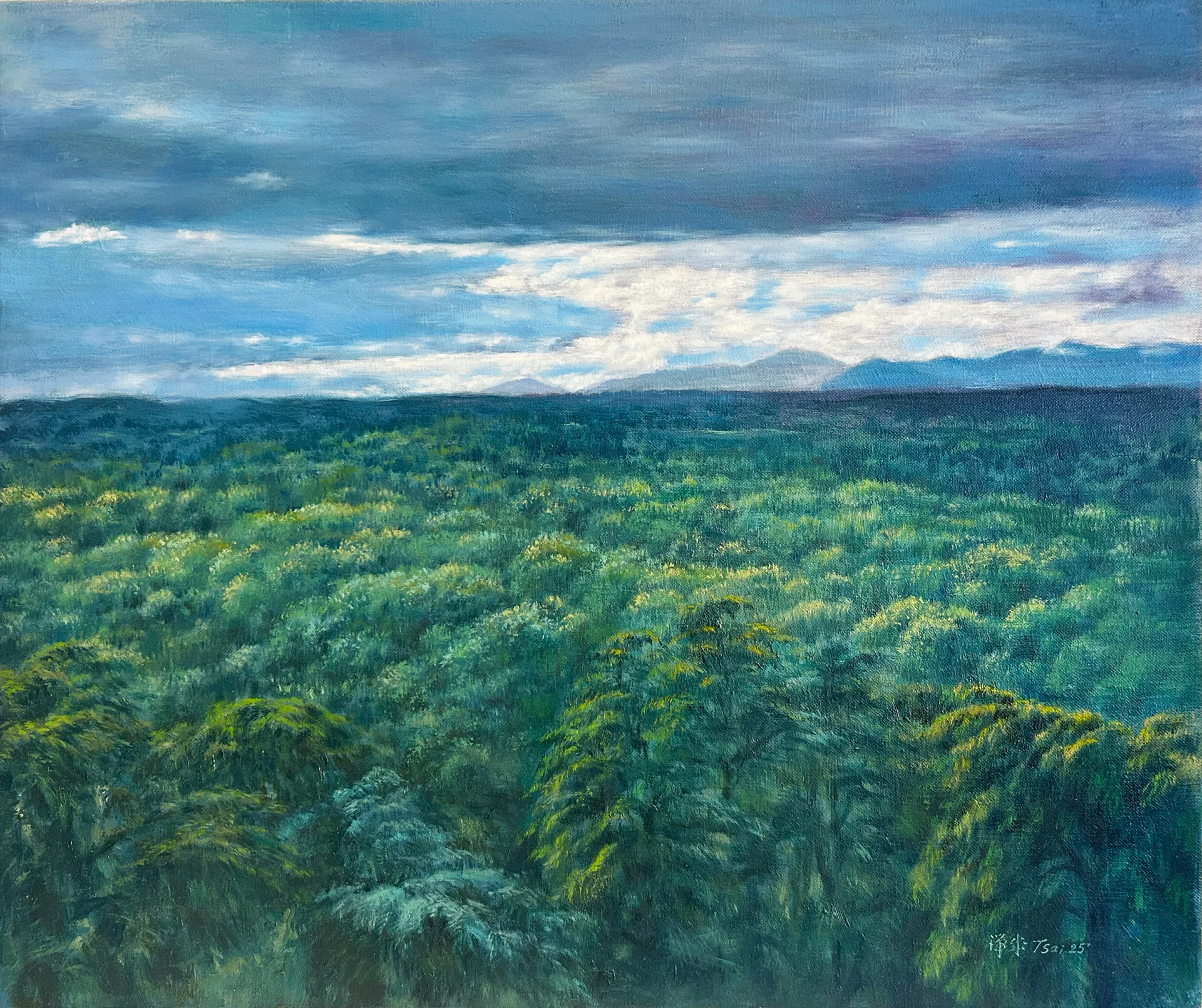 Forest in Calm